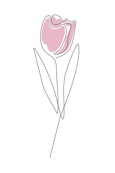 tulip line art|tulips drawing aesthetic.